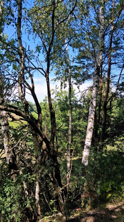 Wojsławickie Klimaty - galeria zdjęć